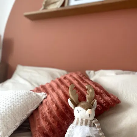 Le Cocon Des Rêves Neuf Avec Terrasse Et Parking * Wintzenheim