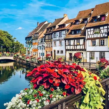 Le Cocon Des Rêves Neuf Avec Terrasse Et Parking Apartamento Wintzenheim