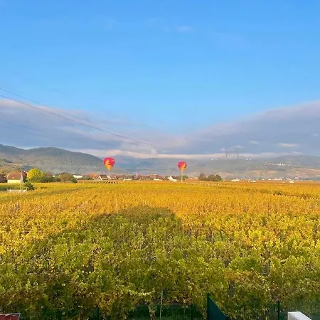 Le Cocon Des Rêves Neuf Avec Terrasse Et Parking Apartamento Wintzenheim