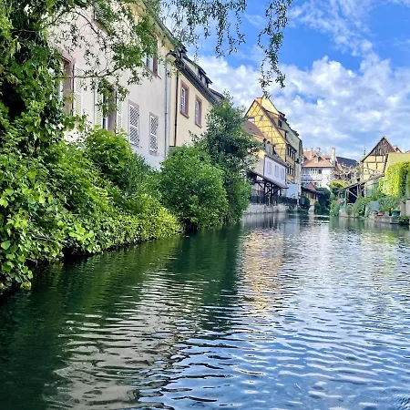 Le Cocon Des Rêves Neuf Avec Terrasse Et Parking