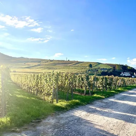 Le Cocon Des Rêves Neuf Avec Terrasse Et Parking Apartamento *